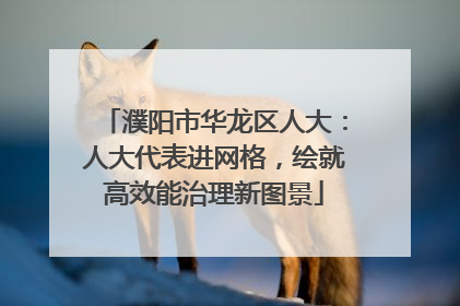 濮阳市华龙区人大：人大代表进网格，绘就高效能治理新图景