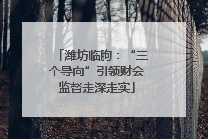 潍坊临朐：“三个导向”引领财会监督走深走实