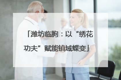 潍坊临朐：以“绣花功夫”赋能镇域蝶变