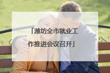 潍坊全市就业工作推进会议召开