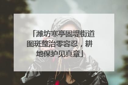 潍坊寒亭固堤街道图斑整治零容忍，耕地保护见真章