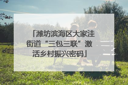 潍坊滨海区大家洼街道“三包三联”激活乡村振兴密码