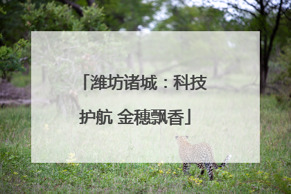 潍坊诸城：科技护航 金穗飘香