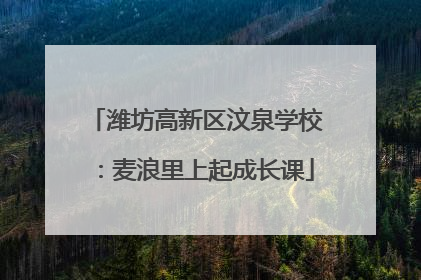 潍坊高新区汶泉学校：麦浪里上起成长课