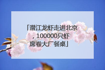 潜江龙虾走进北京，100000只虾席卷大厂餐桌