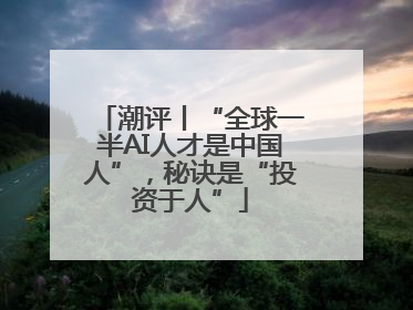 潮评丨“全球一半AI人才是中国人”，秘诀是“投资于人”