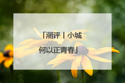 潮评丨小城何以正青春