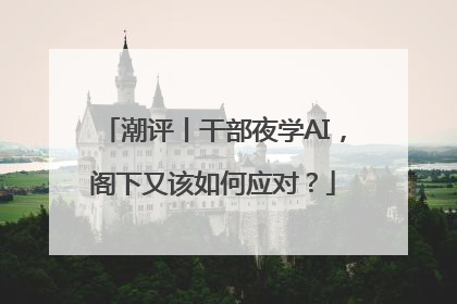潮评丨干部夜学AI，阁下又该如何应对？