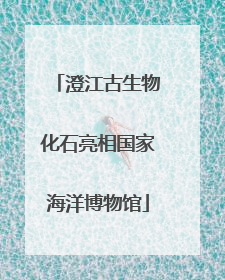 澄江古生物化石亮相国家海洋博物馆