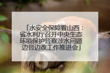 水安全保障看山西：省水利厅召开中央生态环境保护督察涉水问题边督边改工作推进会