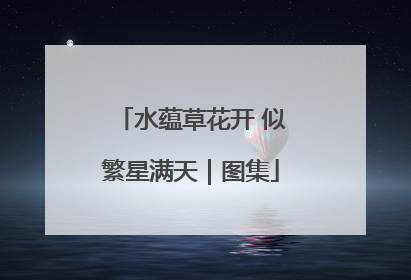 水蕴草花开 似繁星满天｜图集