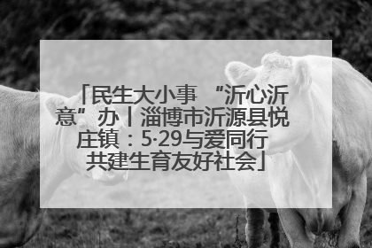 民生大小事 “沂心沂意”办丨淄博市沂源县悦庄镇：5·29与爱同行 共建生育友好社会
