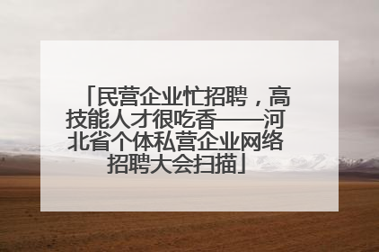 民营企业忙招聘，高技能人才很吃香——河北省个体私营企业网络招聘大会扫描