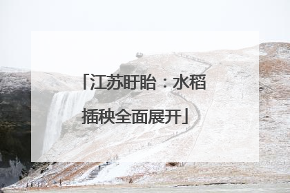 江苏盱眙：水稻插秧全面展开
