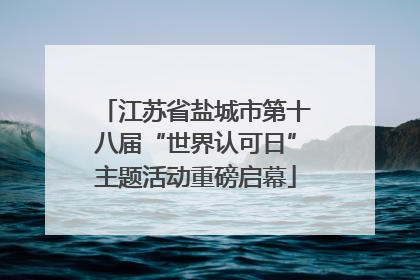 江苏省盐城市第十八届“世界认可日”主题活动重磅启幕