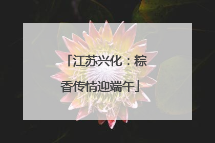 江苏兴化：粽香传情迎端午