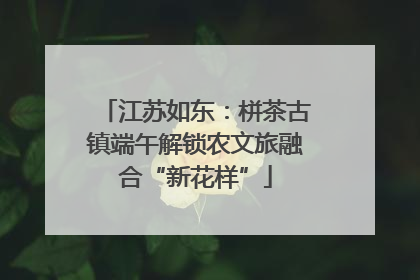 江苏如东：栟茶古镇端午解锁农文旅融合“新花样”