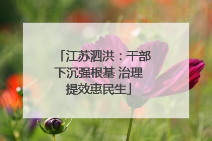 江苏泗洪：干部下沉强根基 治理提效惠民生