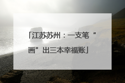 江苏苏州：一支笔“画”出三本幸福账