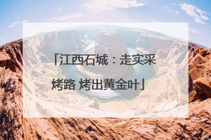 江西石城：走实采烤路 烤出黄金叶