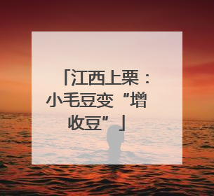 江西上栗：小毛豆变“增收豆”