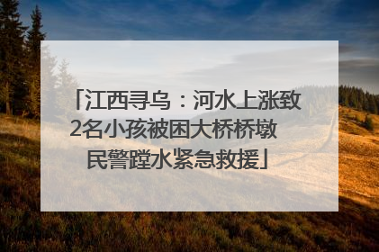 江西寻乌：河水上涨致2名小孩被困大桥桥墩 民警蹚水紧急救援