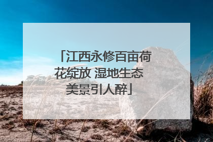 江西永修百亩荷花绽放 湿地生态美景引人醉