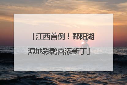 江西首例！鄱阳湖湿地彩鹮喜添新丁