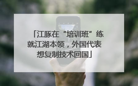 江豚在“培训班”练就江湖本领，外国代表想复制技术回国