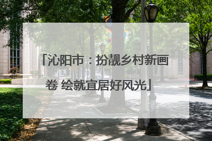 沁阳市：扮靓乡村新画卷 绘就宜居好风光