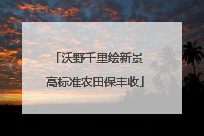 沃野千里绘新景 高标准农田保丰收