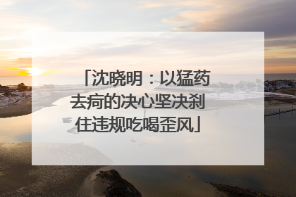 沈晓明：以猛药去疴的决心坚决刹住违规吃喝歪风
