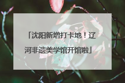 沈阳新增打卡地！辽河非遗美学馆开馆啦