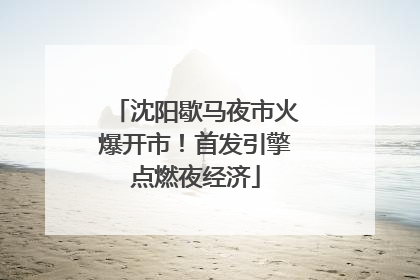沈阳歇马夜市火爆开市！首发引擎点燃夜经济