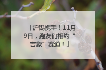 沪锡携手！11月9日，跑友们相约“吉象”赛道！