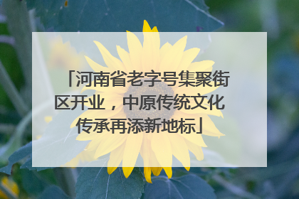 河南省老字号集聚街区开业，中原传统文化传承再添新地标