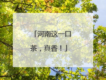 河南这一口茶，真香！