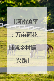 河南镇平：万亩荷花铺就乡村振兴路