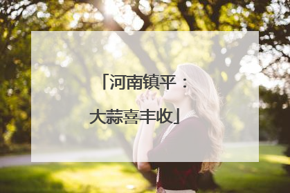 河南镇平：大蒜喜丰收