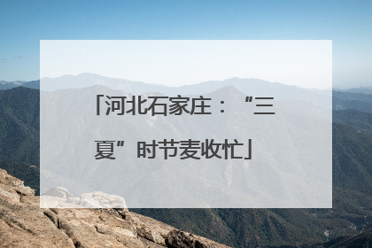 河北石家庄：“三夏”时节麦收忙