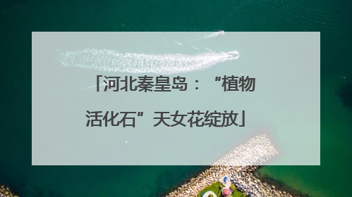 河北秦皇岛：“植物活化石”天女花绽放