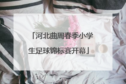 河北曲周春季小学生足球锦标赛开幕