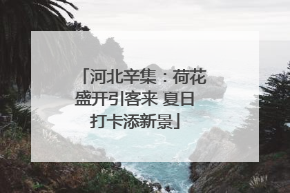 河北辛集：荷花盛开引客来 夏日打卡添新景