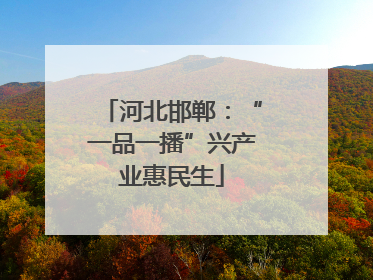 河北邯郸：“一品一播”兴产业惠民生