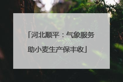 河北顺平：气象服务助小麦生产保丰收