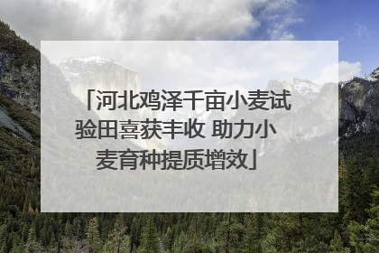 河北鸡泽千亩小麦试验田喜获丰收 助力小麦育种提质增效