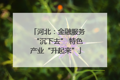 河北：金融服务“沉下去” 特色产业“升起来”