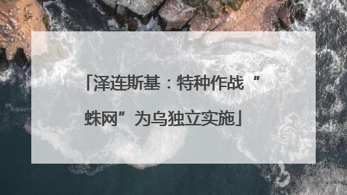 泽连斯基：特种作战“蛛网”为乌独立实施