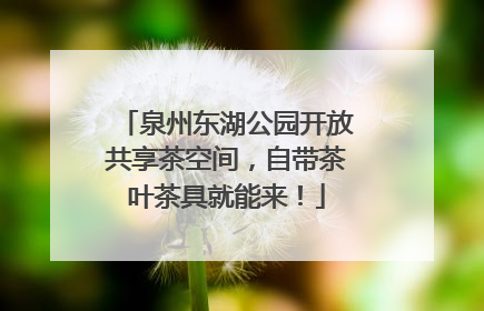 泉州东湖公园开放共享茶空间，自带茶叶茶具就能来！