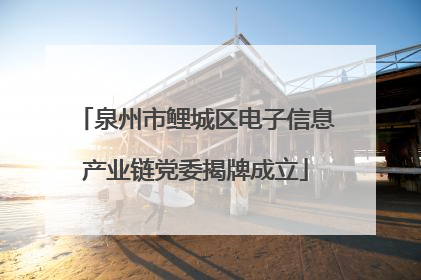 泉州市鲤城区电子信息产业链党委揭牌成立